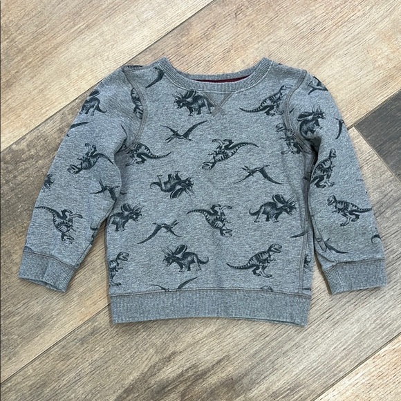 Carter's Other - Carter's Gray and Black Dinosaur Print Hoodie